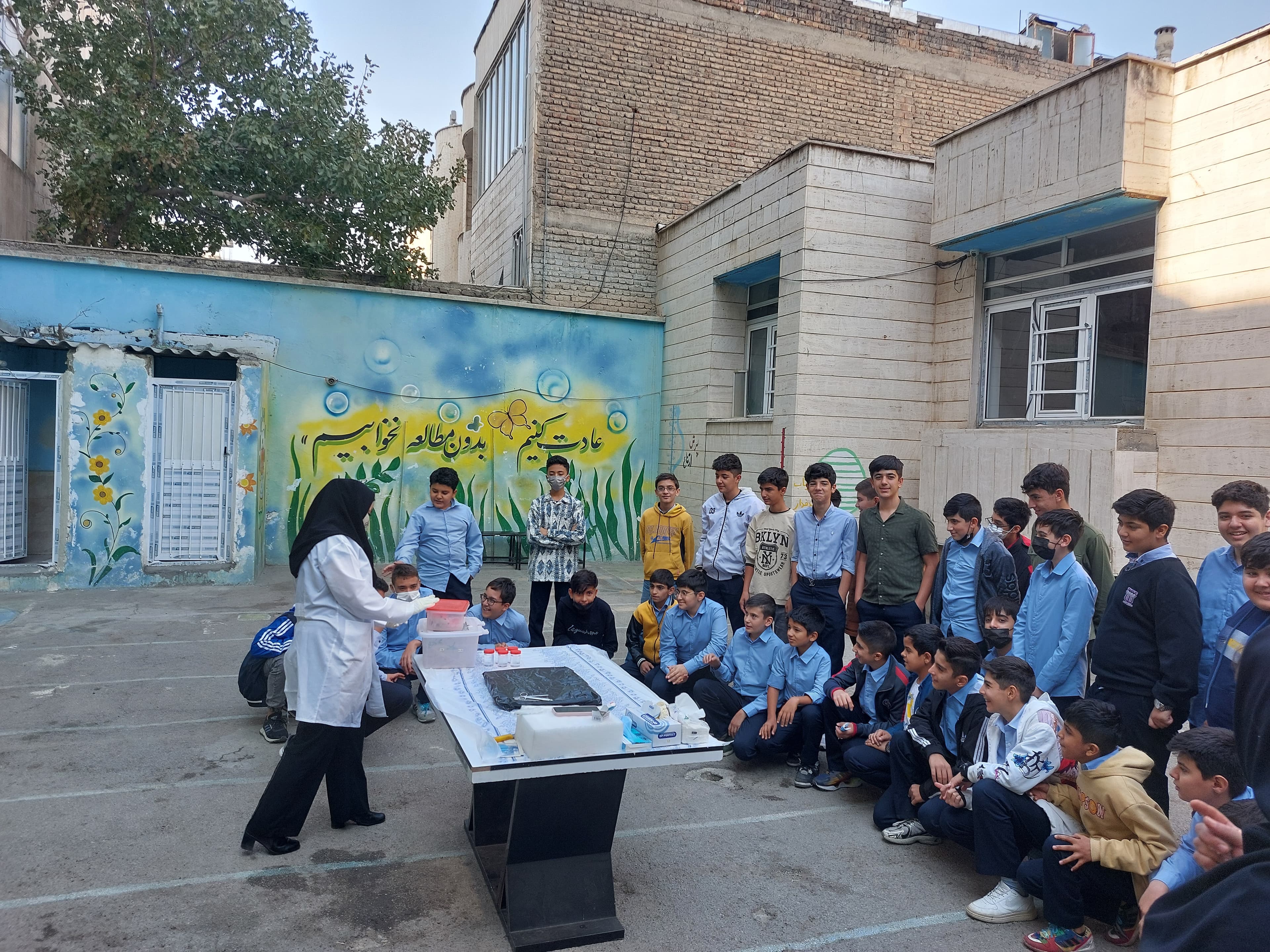 تشريح آناتومی بدن يک موش در حياط مدرسه